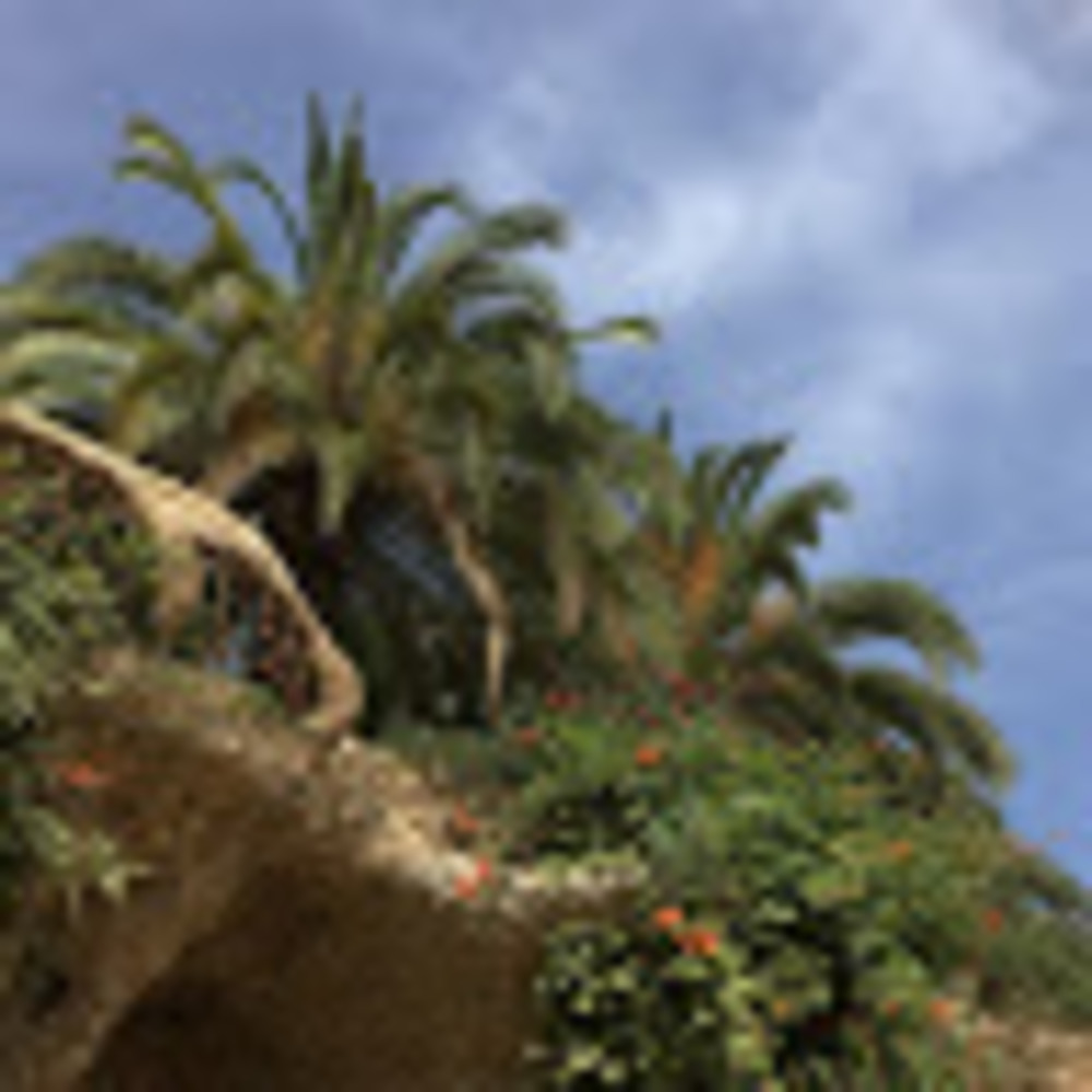 Meet your Posher, Audrey